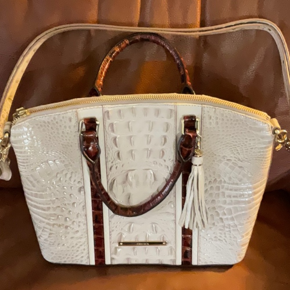 Beautiful Brahmin